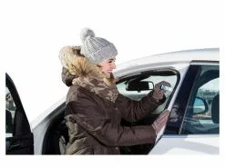 Sonax Pflegestift mit Hirschtalg, 20 g -NAU Fahrzeug & Mobilitat Geschaft 230094093 xxl